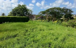 Lot 4 Bernice Gardens, Saint Thomas, Saint Michael