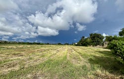 Ealing Grove, Christ Church Barbados, Ealing Grove, Christ Church