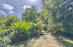 Palm Ave, Sunset Crest, Holetown, St. James, St.James, Saint James
