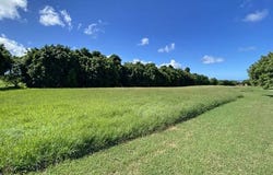 Apes Hill Polo Estate, Apes Hill, Saint Andrew