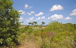 Westmoreland Lot 10 and 10A, Westmoreland, Saint James
