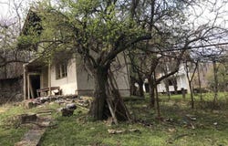 с. Каменик/s. Kamenik, Кюстендил, Kyustendil Province