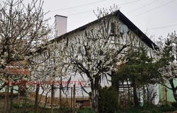 гр. Вълчи дол/gr. Valchi dol, Варна, Varna 9280