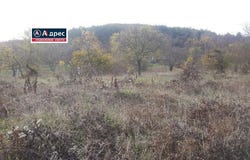 м-т Под Манастира/m-t Pod Manastira, Шумен, Shumen Province 9705