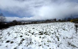 гр. Банско/gr. Bansko, Благоевград, Blagoevgrad Province 2770