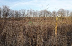 гр. Обзор, село Козница /gr. Obzor, selo Koznica, Бургас, Burgas