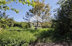 с. Баячево/s. Baiachevo, Търговище, Targovishte Province