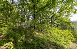 с. Рударци/s. Rudarci, Перник, Pernik 2343