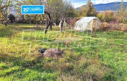 с. Жиленци/s. Jilenci, Кюстендил, Kyustendil Province