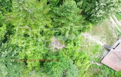 с. Млечево/s. Mlechevo, Габрово, Gabrovo 5441