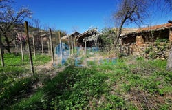 с. Кесарево/s. Kesarevo, Велико Търново, Veliko Tarnovo Province 5161