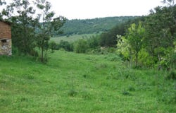 гр. Елхово/gr. Elhovo, Ямбол, Jambol 8700
