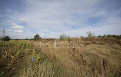 в.з.Врана - Герман/v.z.Vrana - German, София, Sofia City Province