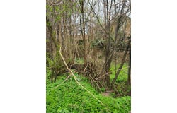 с. Одърне/s. Odarne, Плевен, Pleven Province 5893