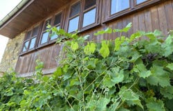 гр. Дряново/gr. Drianovo, Габрово, Gabrovo