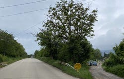 Парта 1/Parta 1, Монтана, Montana Province