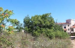 гр. Созопол/gr. Sozopol, Бургас, Burgas 8130
