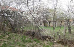 с. Буря/s. Buria, Габрово, Gabrovo