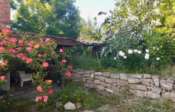с. Аврен/s. Avren, Варна, Varna 9135