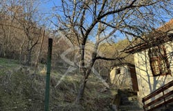 с. Владо Тричков/s. Vlado Trichkov, София, Sofia Province 2299
