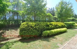 гр. Банско/gr. Bansko, Благоевград, Blagoevgrad Province 2770