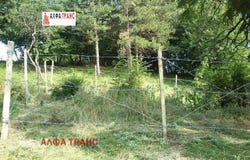 Виница, Местност Бостан тарла /Vinica, Mestnost Bostan tarla, Варна, Varna