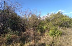 с. Раковсково, на 14км. от Обзор /s. Rakovskovo, na 14km. ot Obzor, Бургас, Burgas 8257