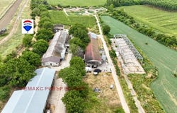 с. Сандрово/s. Sandrovo, Русе, Ruse 7059