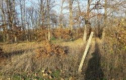 гр. Обзор, село Козница /gr. Obzor, selo Koznica, Бургас, Burgas