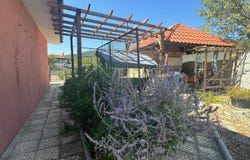 Kosharitsa, Burgas 8253