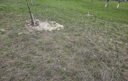 Прилепци/Prilepci, Кърджали, Kardzhali Province 6609