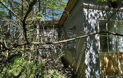Dabovik, Dobrich 9551