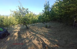 с. Шатрово/s. Shatrovo, Кюстендил, Kyustendil Province