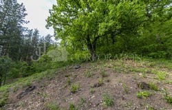 с. Рударци/s. Rudarci, Перник, Pernik 2343