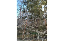 м-т Евксиноград/m-t Evksinograd, Варна, Varna