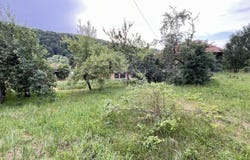 с. Ново село/s. Novo selo, София, Vidin 3784