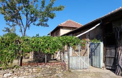 с. Коевци/s. Koevci, Велико Търново, Veliko Tarnovo Province
