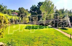 с. Ново Паничарево/s. Novo Panicharevo, Бургас, Burgas 8152