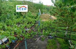 Вилна зона/Vilna zona, Търговище, Targovishte Province