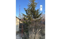 м-т Евксиноград/m-t Evksinograd, Варна, Varna