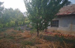 Neofit Rilski, Neofit Rilski, Varna 9223