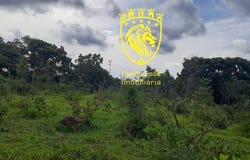 Sem Endereço, Formiga, Minas Gerais 35570959