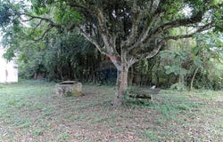1 Estrada do Ribeirão, Suzano, São Paulo 8693190