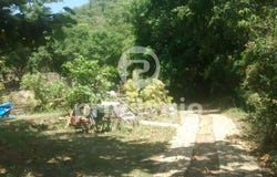 3 Estrada da Ilha unit: Rua C3, lote 01 quadra 53, RIO DE JANEIRO, Rio de Janeiro 23020230