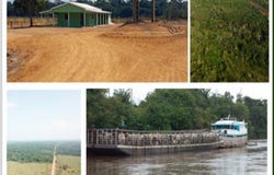 Amazon Rainforest, Amazonas, Amazonas 69265