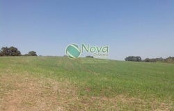Campo Largo, State of Paraná 83604700