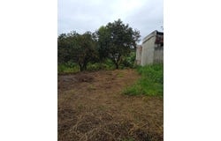 Curitiba, State of Paraná 81490020