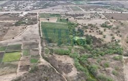 Pernambuco, State of Pernambuco