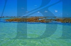 Pernambuco, State of Pernambuco