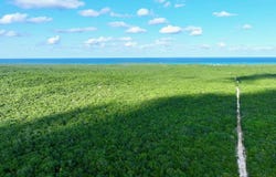 CAMPERDOWN LOT unit: 4, Cat Island, Cat Island